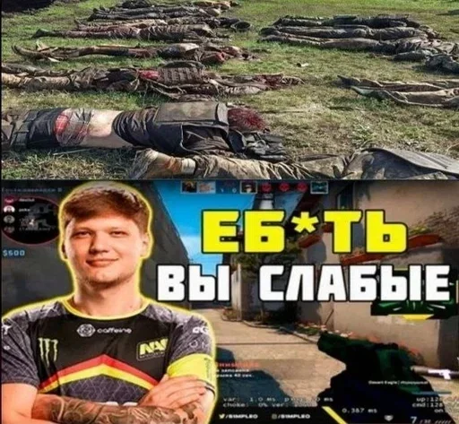 Sticker CTXsvinorez - 1