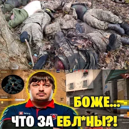 Sticker CTXsvinorez - 1