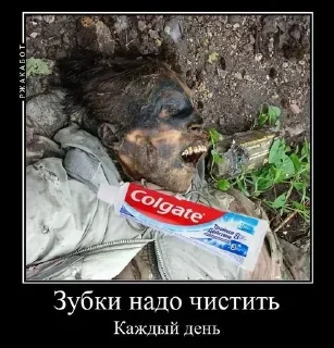 Sticker СОСꑭУЛИ ✙УЙЦА by @SosiBandera - 10