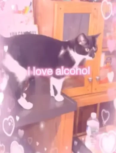 Стикер CUMvisor - 1