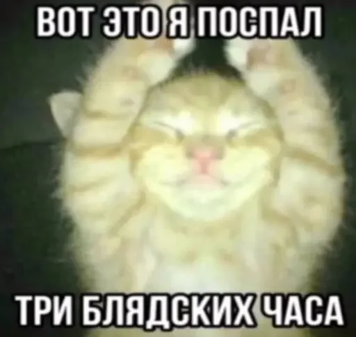 Sticker CUMvisor - 1