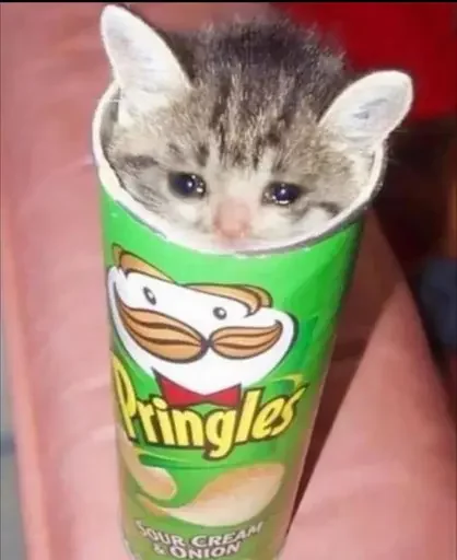 Sticker CUMvisor - 1