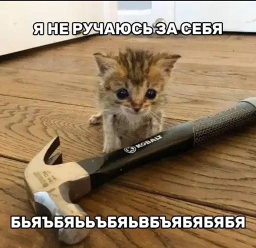 Sticker CUMvisor - 1