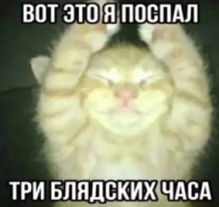 Стикер Cummer - 8