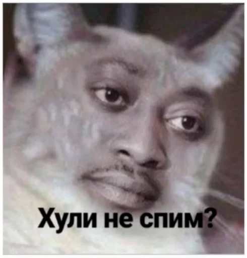 Стикер Стики 4281 из @Anonymnyi_chat_bot - 10