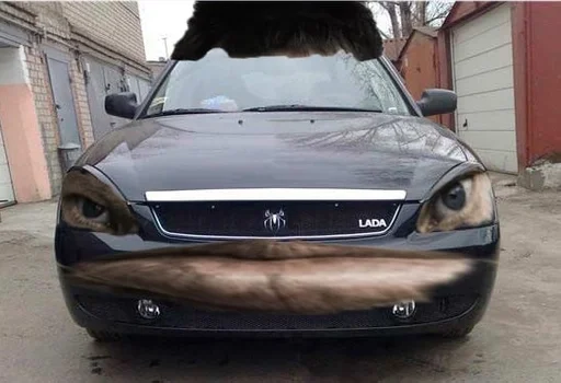 транспортное средство наземный автомобиль шина