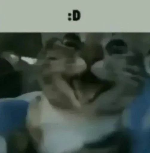 Sticker CXEJRWFDWB_by_stikers_du_ark_bot - 1