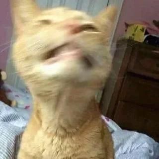 Sticker @sticksbb 🩷 <- канал со стиками - 7