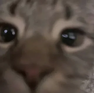 Sticker @sticksbb 🩷 <- канал со стиками - 6