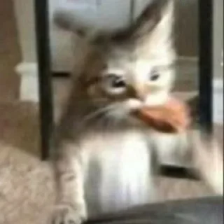 Sticker @sticksbb 🩷 <- канал со стиками - 4