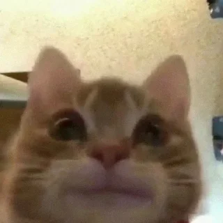 Sticker @sticksbb 🩷 <- канал со стиками - 2