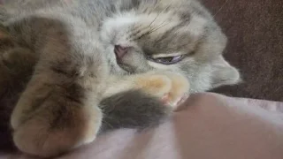 Стикер Мой стикерпак, сделан в @moyi_stikery_bot - 5