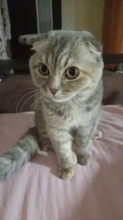 Стикер Мой стикерпак, сделан в @moyi_stikery_bot - 6