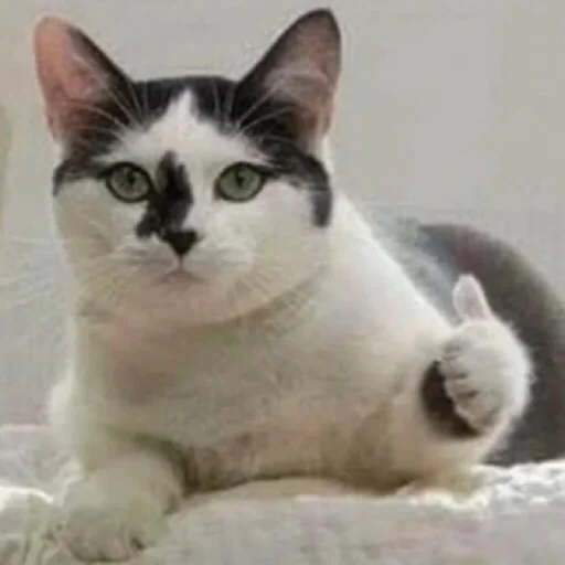 Стикер C_Ats - 1