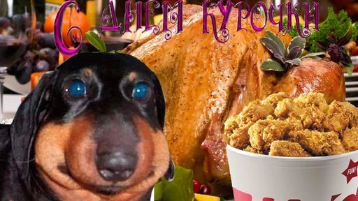 animal food fast food