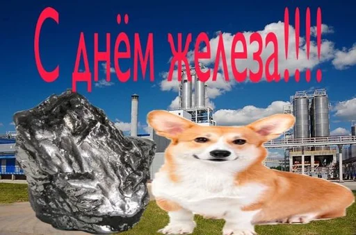 животное собака млекопитающее