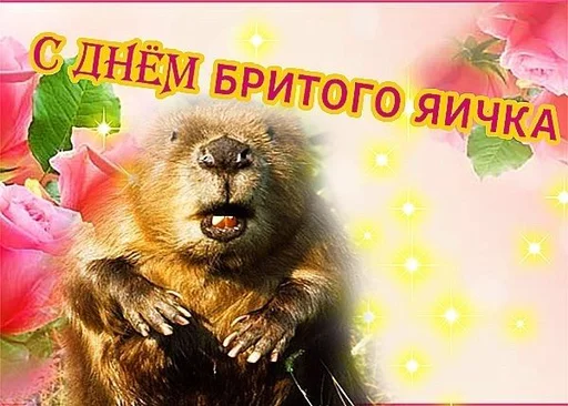 СМС животное млекопитающее