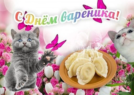 кошки малого и среднего размера домашняя кошка кошачьи