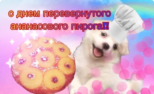 собака домашнее животное порода собак