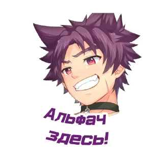 Стикер Camp Stickers - 3