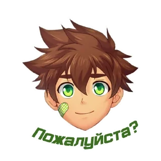 Стикер Camp Stickers - 8
