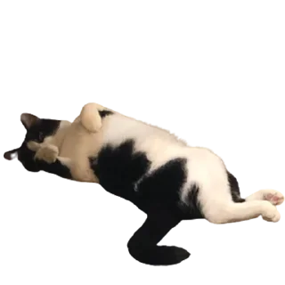 Стикер котомемасы - 3