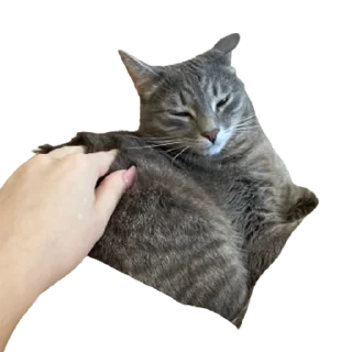 Стикер котомемасы - 9