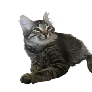 Стикер котомемасы - 10