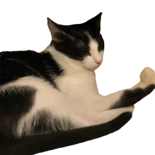 Стикер котомемасы - 4