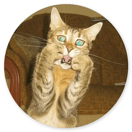 Лучшие стикеры—@lovesticers - 