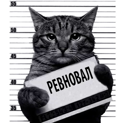 Лучшие стикеры—@lovesticers - 