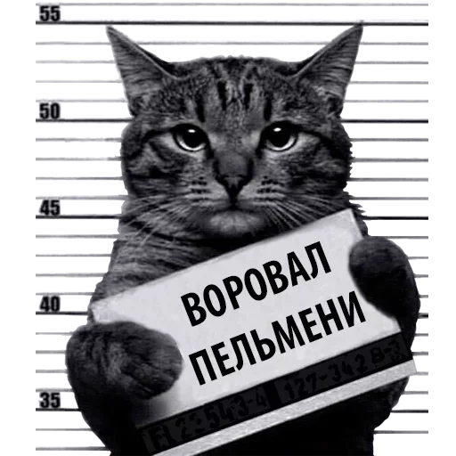 Sticker Caat0024 - 1