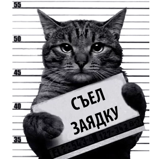 Sticker Caat0024 - 1