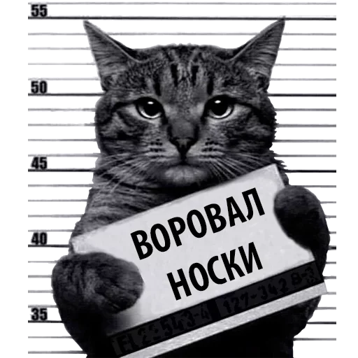Стикер Caat0024 - 1