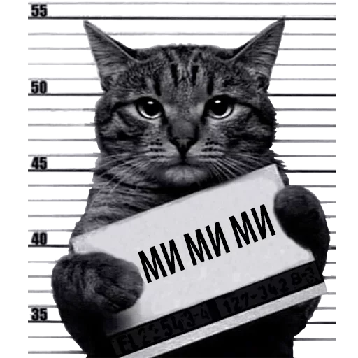 Sticker Caat0024 - 1