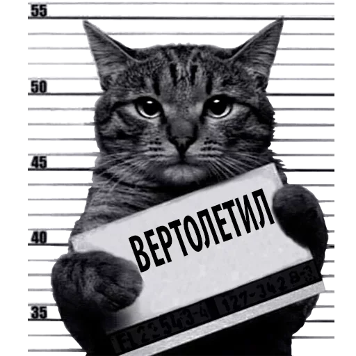 Sticker Caat0024 - 1