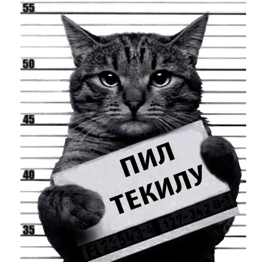 Sticker Caat0024 - 1