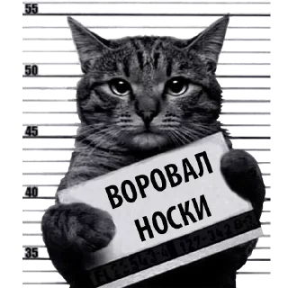 Sticker Лучшие стикеры—@lovesticers - 6