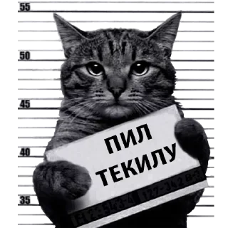 Sticker Лучшие стикеры—@lovesticers - 1