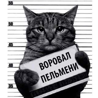 Sticker Лучшие стикеры—@lovesticers - 8