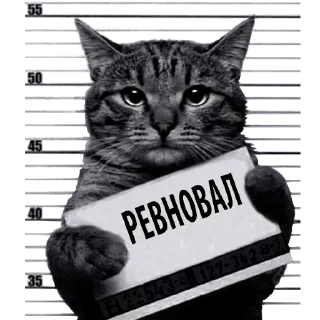 Sticker Лучшие стикеры—@lovesticers - 9