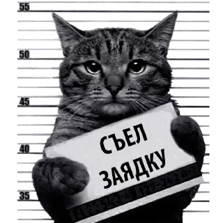 Sticker Лучшие стикеры—@lovesticers - 7