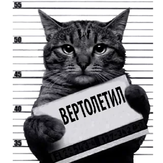 Sticker Лучшие стикеры—@lovesticers - 2