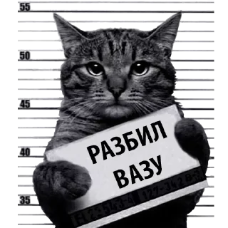 Sticker Лучшие стикеры—@lovesticers - 0