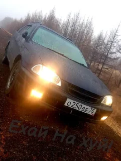 Стикер Caldina Club Чита - 1