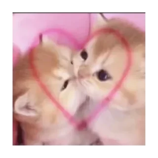 Sticker Стикапак - 3