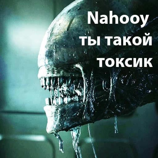 Стикер Capnes - 1