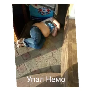 Стикер Captain nemo dolbaeb - 4