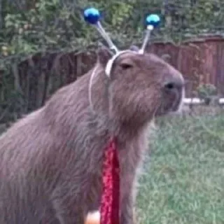 Sticker Капибара - 3