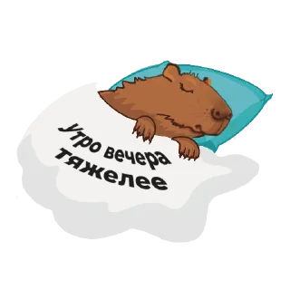 Стикер Капибара в ЦОДе - 6